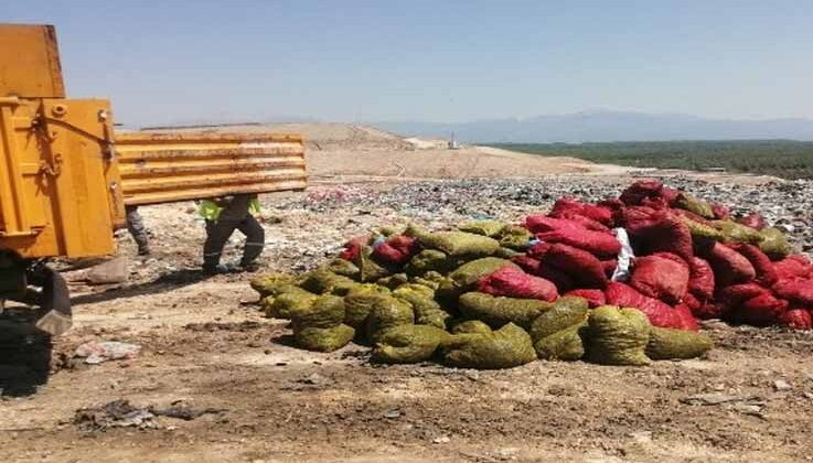 Antalya’da 4 ton kaçak midye ele geçirildi