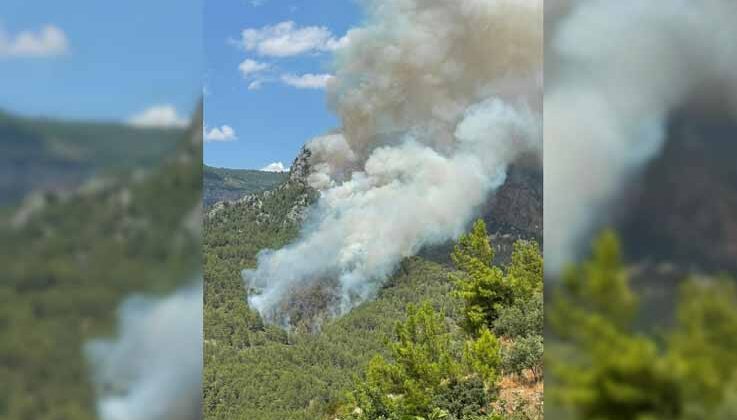 Alanya’da biri orman 2 ayrı yerde çıkan yangın söndürüldü
