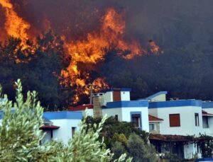 Gökova koyları yanıyor! Tatil siteleri boşaltıldı, karayolu kapatıldı