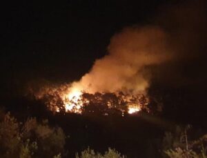 Kovada Milli Parkı’nda yangın başladı