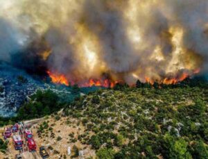İşte Manavgat yangınının bilançosu: 60 bin hektar kül oldu, en az 1 milyar TL kayıp