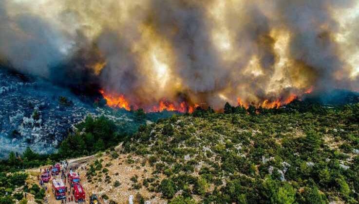 İşte Manavgat yangınının bilançosu: 60 bin hektar kül oldu, en az 1 milyar TL kayıp