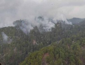 Antalya’da düşen yıldırım, 4 hektarlık ormanı yaktı