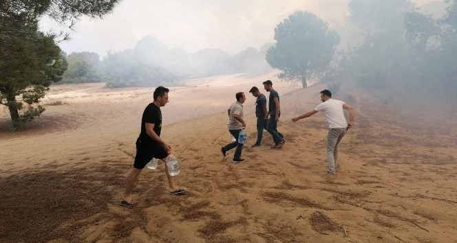 Vatandaşlar ellerinde dallar ve yerden topladıkları kumlarla yangına müdahale etti