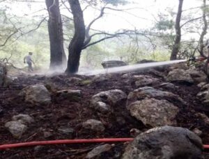 Kemer’de çıkan orman yangını büyümeden söndürüldü