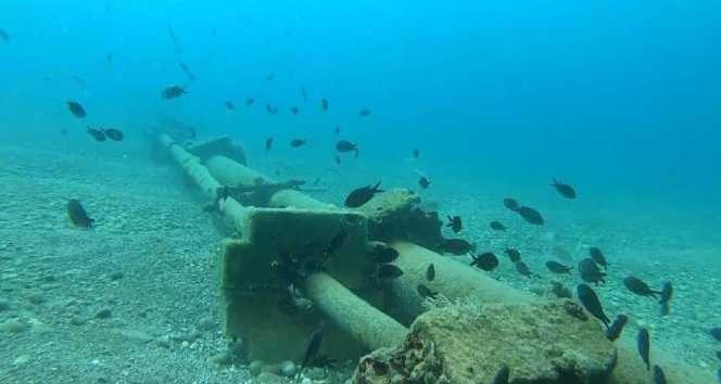 Kızıldeniz’den Akdeniz’e gelen istilacı balık türleri yönünü Ege denizine çevirdi