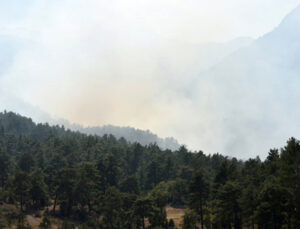 Antalya’da orman yangını çıktı