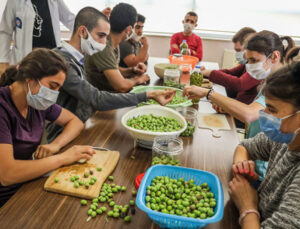 Özel çocuklar hasat yapıp zeytin kurdu