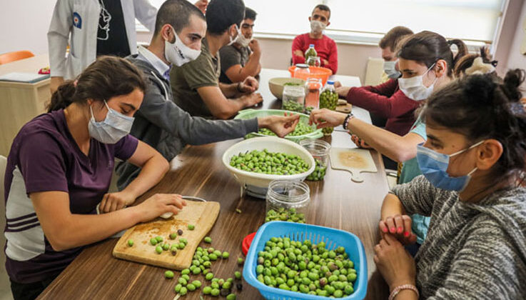 Özel çocuklar hasat yapıp zeytin kurdu