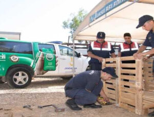 Jandarma, dernekler ile birlikte barınaktaki hayvanlar için kulübe yaptı