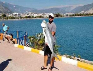 Kıyıdan 15 kiloluk liça balığı avladı