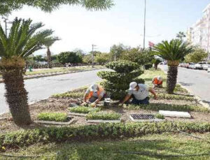 Antalya’da 3 milyon kışlık çiçek toprakla buluşuyor