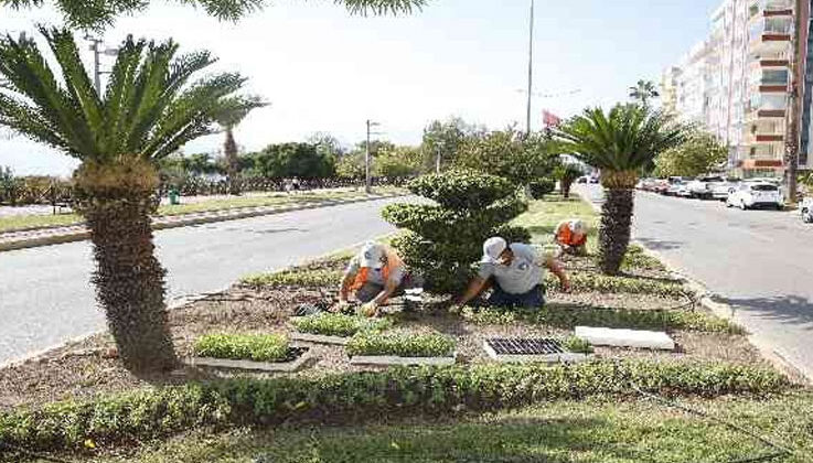 Antalya’da 3 milyon kışlık çiçek toprakla buluşuyor