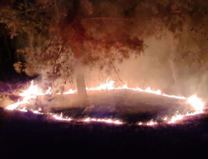 Kumluca’da 3 ayrı yerde eş zamanlı çıkan yangın söndürüldü