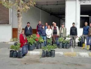 Yangından etkilenen ailelere ceviz fidanı desteği