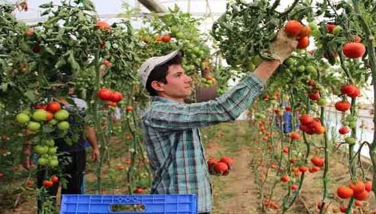 Batı Akdeniz ihracatında rekor