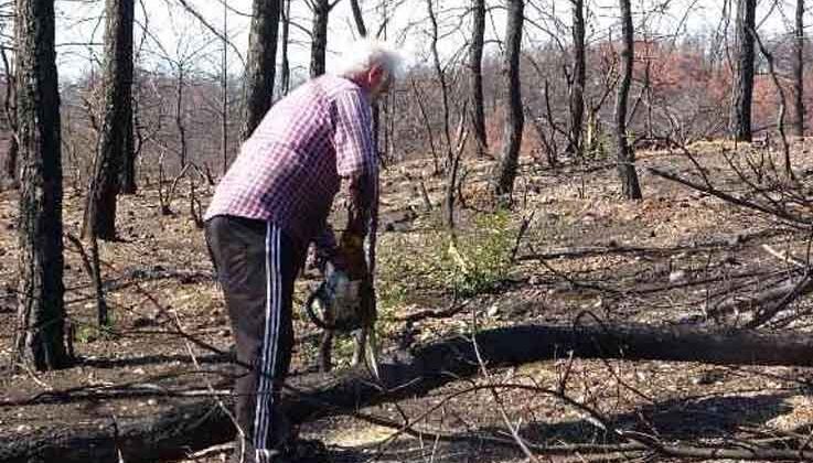 Manavgat’ta yanan ormanlık alanlar fidan dikimine hazırlanıyor