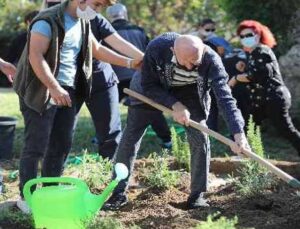 Alzehimer hastaları tıbbi aromatik bitkiler dikti