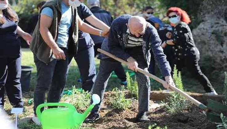 Alzehimer hastaları tıbbi aromatik bitkiler dikti