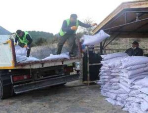 İbradılı üreticilere 3 ton hibe buğday tohumu teslim edildi
