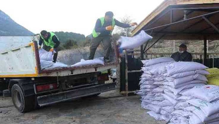 İbradılı üreticilere 3 ton hibe buğday tohumu teslim edildi