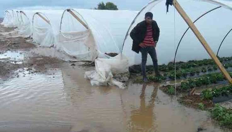 Antalya’da yağmur çilek seralarını sular içinde bıraktı