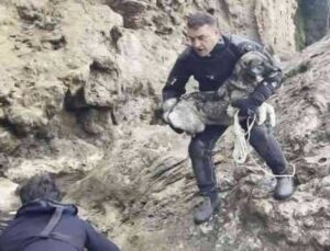 Falezlerde mahsur kalan köpek deniz polisinin ‘film gibi’ operasyonuyla kurtarıldı