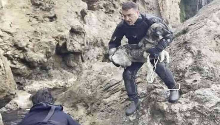 Falezlerde mahsur kalan köpek deniz polisinin ‘film gibi’ operasyonuyla kurtarıldı