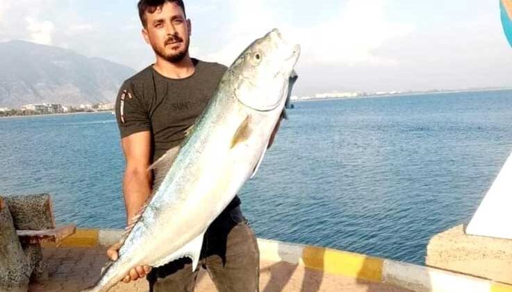 Kıyıdan 17 kiloluk kuzu balığı avladı