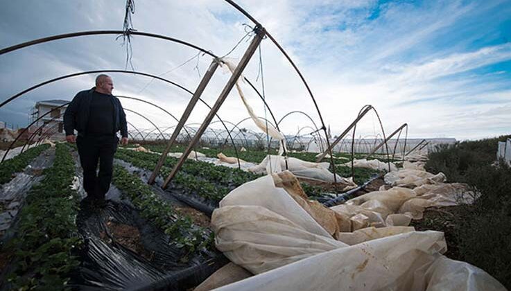 Antalya’da yağmur ve fırtınada, yaklaşık 2 bin dönüm tarım alanı zarar gördü