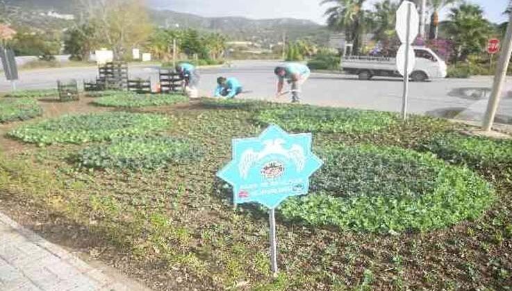 Alanya’da binlerce çiçek toprakla buluşuyor