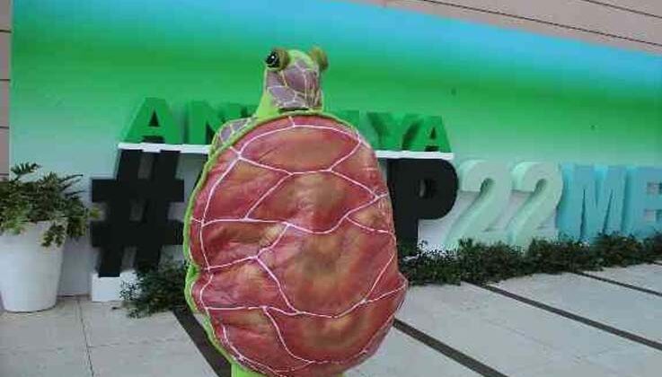 Deniz kaplumbağası kostümü ile COP 22’de farkındalık oluşturmaya çalıştı