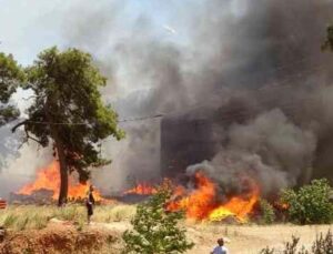 Manavgat merkezdeki orman yangınının ilk duruşmasından tutuksuz yargılama çıktı