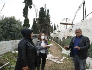 Büyükşehir çiftçinin yaralarını sarmak için hasar tespiti yapıyor