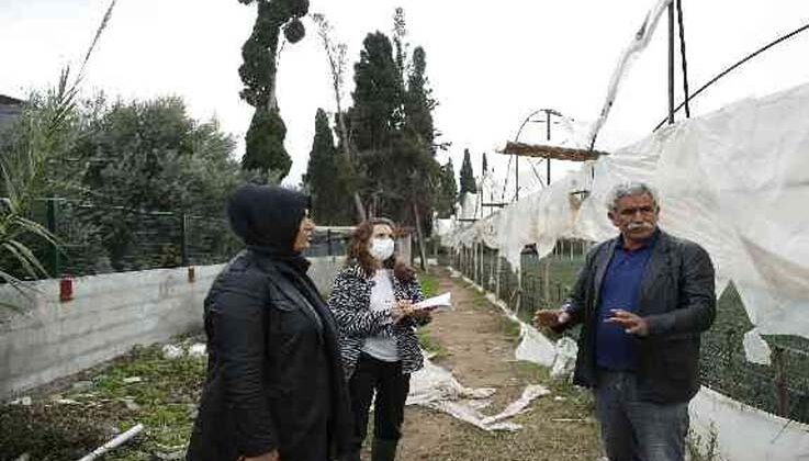 Büyükşehir çiftçinin yaralarını sarmak için hasar tespiti yapıyor