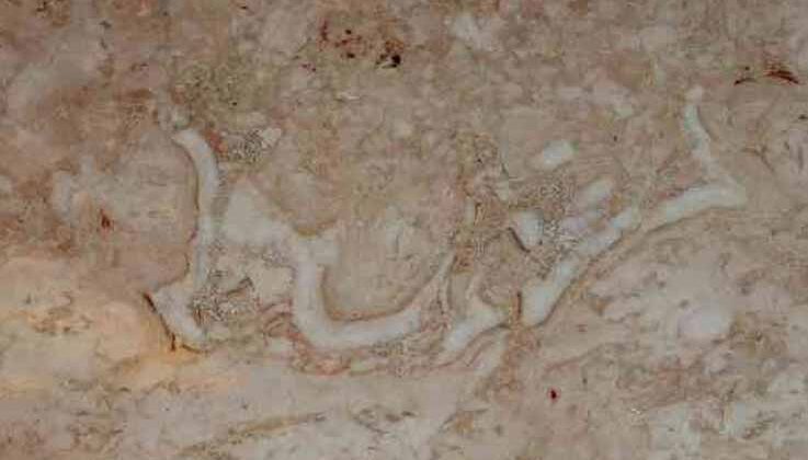 195 milyon yıllık mermerde ‘Bismillah’ yazısı