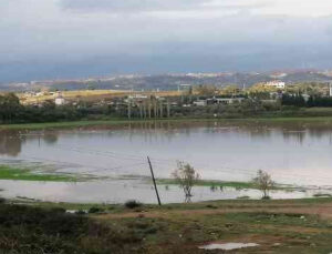 Manavgat’ta su basan ekili arazileri su kuşları istila etti