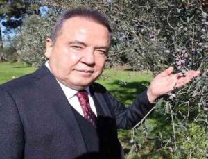 Başkan Böcek: “Zeytin Park’ı korumak boynumuzun borcudur”