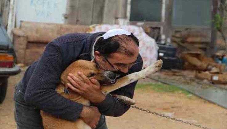 Antalya’da köpek kulübesinin yıkıldığı iddiası baltalı kavgaya döndü