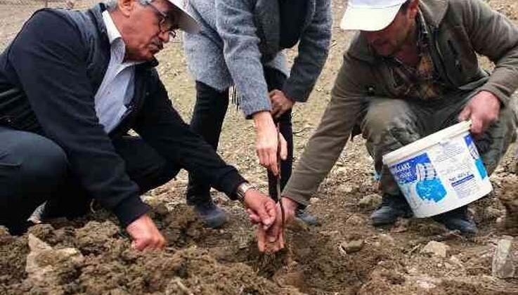 Gündoğmuş’a ceviz fidanı ve hamur makinesi yardımı