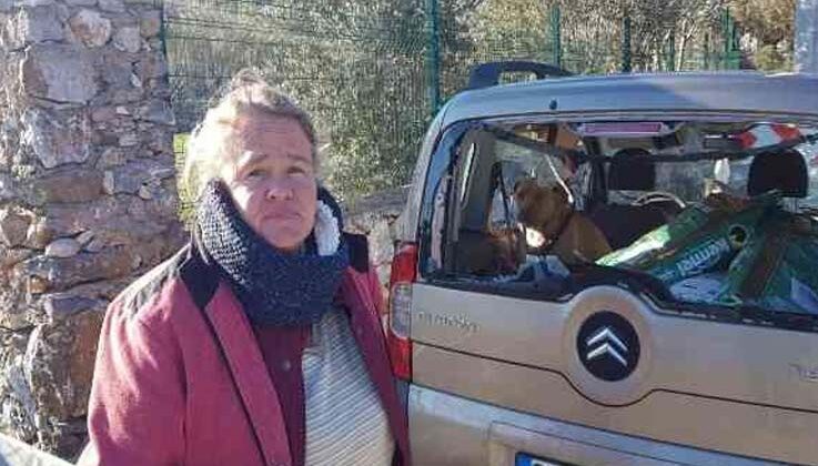 Hayvansever Alman kadının içinde köpeği bulunan aracını sopalar ve taşlarla parçaladılar