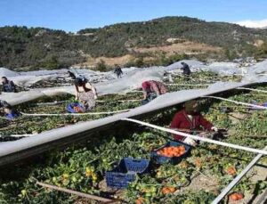 Antalya’da seraları bu defa poyraz fırtınası vurdu