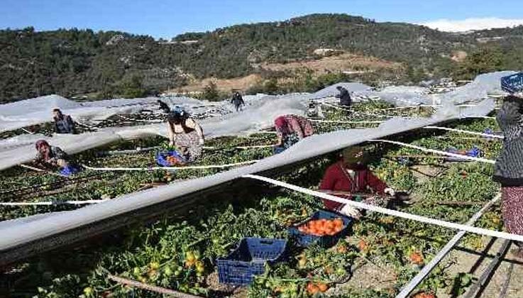 Antalya’da seraları bu defa poyraz fırtınası vurdu