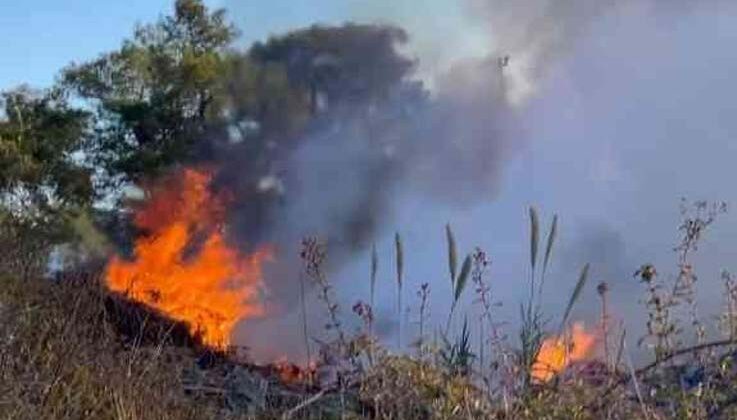 Ormanlık alan yakınında bulunan çöplükten çıkan dumanlar panik oluşturdu