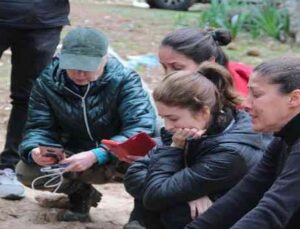 Hayvanseverler iş makinesiyle gömülen kedi ve köpeklere tepki gösterdi, işlemin yasal olduğu ortaya çıktı