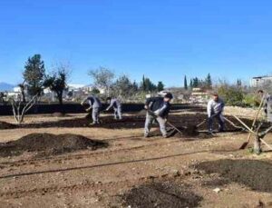 Ay Deresi’nde çevre düzenleme çalışması