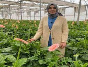 Topraksız serada ürettiği gerbera çiçeğini yurt dışına iki katı fiyata satıyor