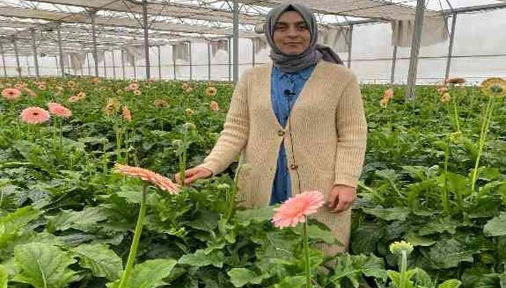 Topraksız serada ürettiği gerbera çiçeğini yurt dışına iki katı fiyata satıyor