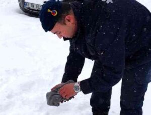 Jandarma, soğuktan donmak üzere olan kuşu kendi kıyafetiyle ısıttı