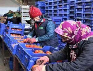 Antalya hallerinde işlem gören meyve Ocak ayında son 4 yılın ortalamasında